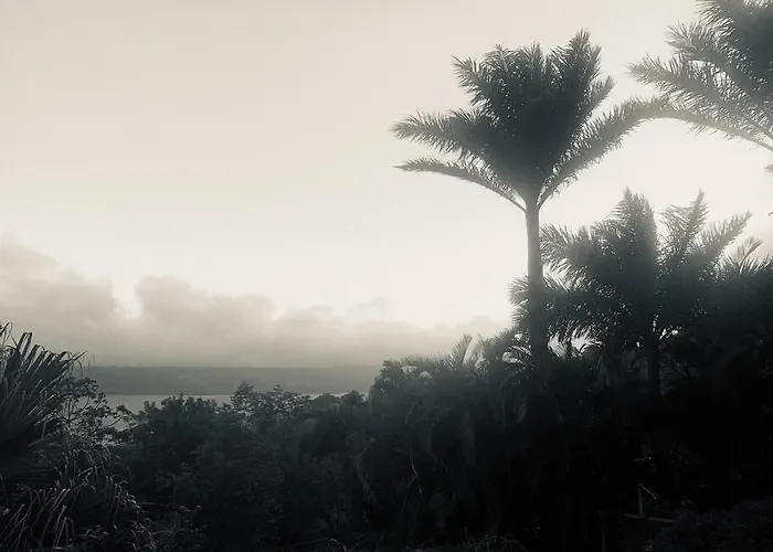 Villa Arenal Killer View *