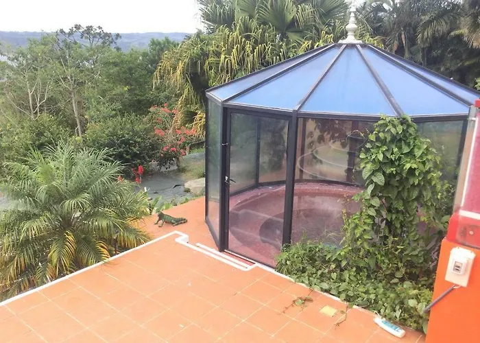 Arenal Killer View