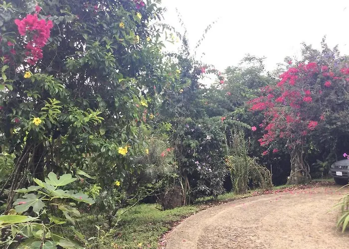 Arenal Killer View Villa Tilarán
